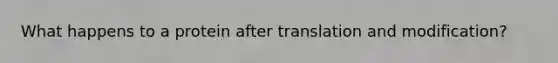 What happens to a protein after translation and modification?