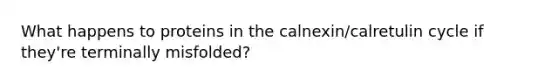 What happens to proteins in the calnexin/calretulin cycle if they're terminally misfolded?