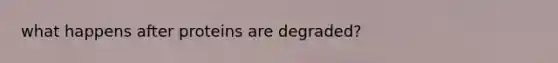 what happens after proteins are degraded?