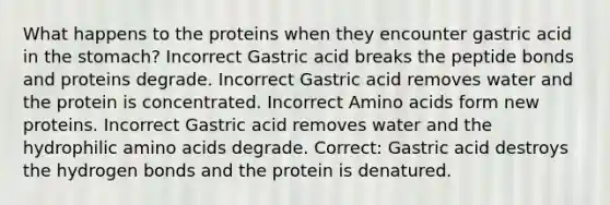 What happens to the proteins when they encounter gastric acid in the stomach? Incorrect Gastric acid breaks the peptide bonds and proteins degrade. Incorrect Gastric acid removes water and the protein is concentrated. Incorrect Amino acids form new proteins. Incorrect Gastric acid removes water and the hydrophilic amino acids degrade. Correct: Gastric acid destroys the hydrogen bonds and the protein is denatured.