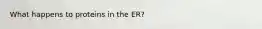 What happens to proteins in the ER?