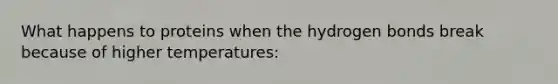 What happens to proteins when the hydrogen bonds break because of higher temperatures: