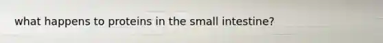 what happens to proteins in the small intestine?