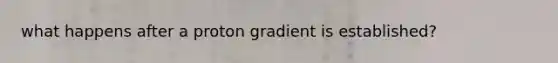 what happens after a proton gradient is established?