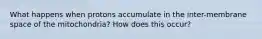 What happens when protons accumulate in the inter-membrane space of the mitochondria? How does this occur?