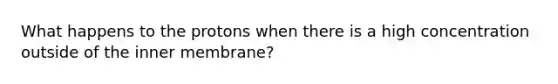 What happens to the protons when there is a high concentration outside of the inner membrane?