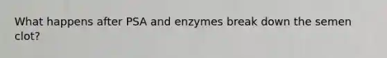 What happens after PSA and enzymes break down the semen clot?