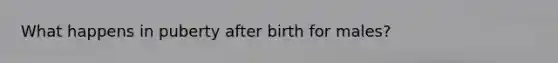 What happens in puberty after birth for males?