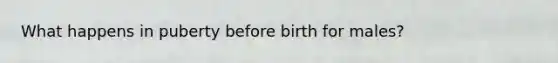 What happens in puberty before birth for males?