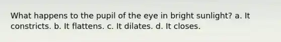 What happens to the pupil of the eye in bright sunlight? a. It constricts. b. It flattens. c. It dilates. d. It closes.