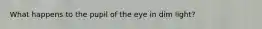 What happens to the pupil of the eye in dim light?