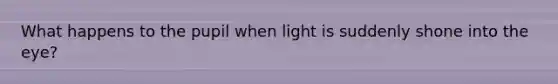 What happens to the pupil when light is suddenly shone into the eye?