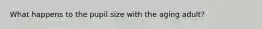 What happens to the pupil size with the aging adult?