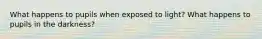What happens to pupils when exposed to light? What happens to pupils in the darkness?