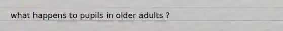 what happens to pupils in older adults ?