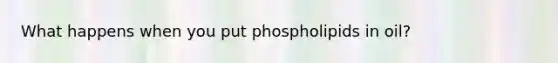 What happens when you put phospholipids in oil?