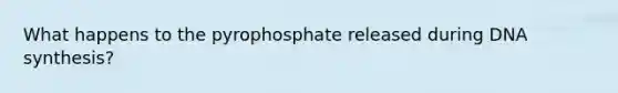 What happens to the pyrophosphate released during DNA synthesis?