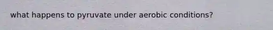 what happens to pyruvate under aerobic conditions?