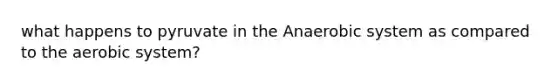 what happens to pyruvate in the Anaerobic system as compared to the aerobic system?