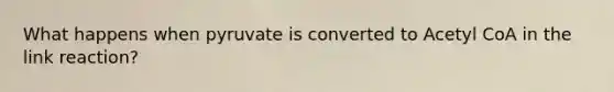 What happens when pyruvate is converted to Acetyl CoA in the link reaction?