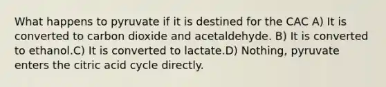 What happens to pyruvate if it is destined for the CAC A) It is converted to carbon dioxide and acetaldehyde. B) It is converted to ethanol.C) It is converted to lactate.D) Nothing, pyruvate enters the citric acid cycle directly.