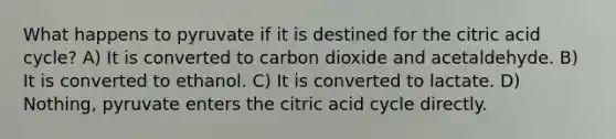 What happens to pyruvate if it is destined for the citric acid cycle? A) It is converted to carbon dioxide and acetaldehyde. B) It is converted to ethanol. C) It is converted to lactate. D) Nothing, pyruvate enters the citric acid cycle directly.