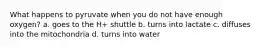 What happens to pyruvate when you do not have enough oxygen? a. goes to the H+ shuttle b. turns into lactate c. diffuses into the mitochondria d. turns into water