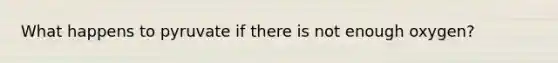 What happens to pyruvate if there is not enough oxygen?