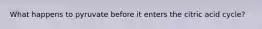 What happens to pyruvate before it enters the citric acid cycle?