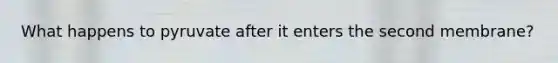 What happens to pyruvate after it enters the second membrane?