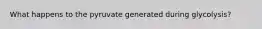 What happens to the pyruvate generated during glycolysis?