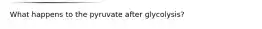 What happens to the pyruvate after glycolysis?