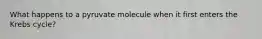 What happens to a pyruvate molecule when it first enters the Krebs cycle?