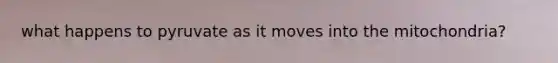 what happens to pyruvate as it moves into the mitochondria?