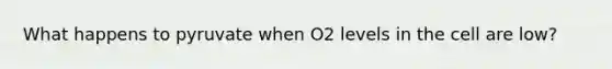 What happens to pyruvate when O2 levels in the cell are low?