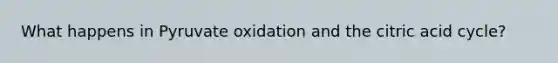 What happens in Pyruvate oxidation and the citric acid cycle?