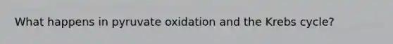 What happens in pyruvate oxidation and the Krebs cycle?