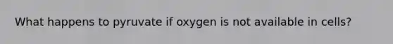 What happens to pyruvate if oxygen is not available in cells?