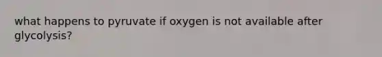 what happens to pyruvate if oxygen is not available after glycolysis?