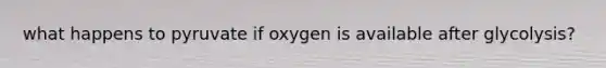 what happens to pyruvate if oxygen is available after glycolysis?