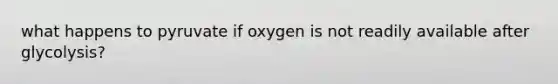 what happens to pyruvate if oxygen is not readily available after glycolysis?