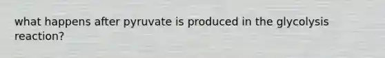 what happens after pyruvate is produced in the glycolysis reaction?