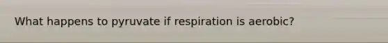 What happens to pyruvate if respiration is aerobic?