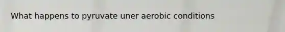 What happens to pyruvate uner aerobic conditions