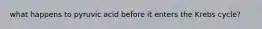 what happens to pyruvic acid before it enters the Krebs cycle?
