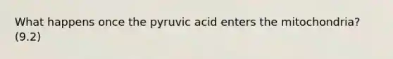 What happens once the pyruvic acid enters the mitochondria? (9.2)