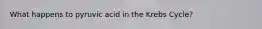 What happens to pyruvic acid in the Krebs Cycle?