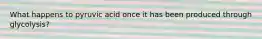 What happens to pyruvic acid once it has been produced through glycolysis?