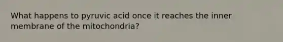 What happens to pyruvic acid once it reaches the inner membrane of the mitochondria?