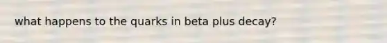 what happens to the quarks in beta plus decay?